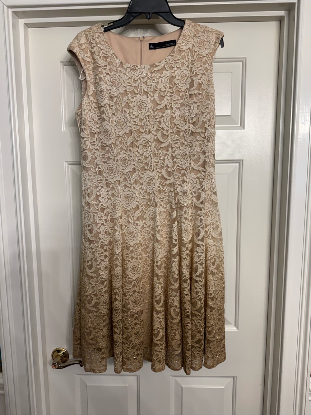 Chetta B Beige Lace Fit & Flare Dress